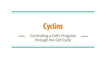 Controlling a Cell’s Progress through the Cell Cycle