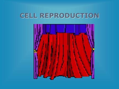 CELL REPRODUCTION THE CELL CYCLE AND MITOSIS.