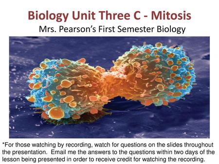 Biology Unit Three C - Mitosis