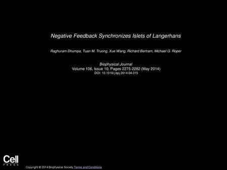 Negative Feedback Synchronizes Islets of Langerhans