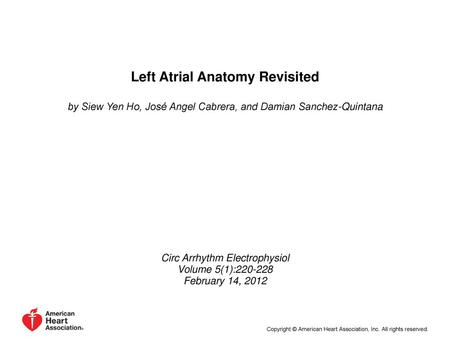 Left Atrial Anatomy Revisited