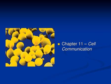 Chapter 11 – Cell Communication