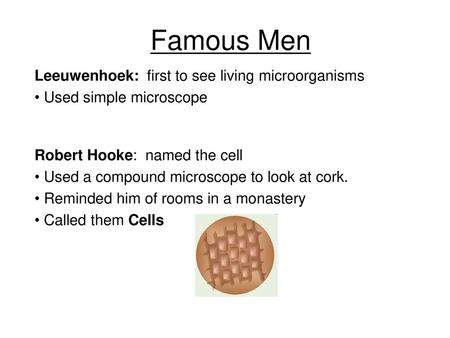 Famous Men Leeuwenhoek: first to see living microorganisms