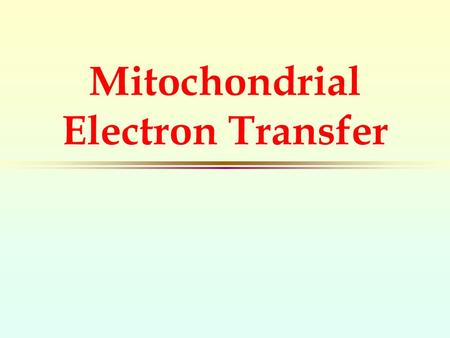 Mitochondrial Electron Transfer