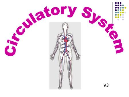 Identifying Blood Vessels Ppt Download