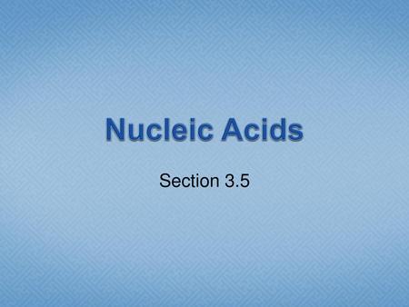 Nucleic Acids Section 3.5.