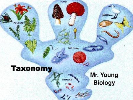 Taxonomy Mr. Young Biology.