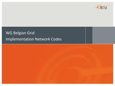 WG Belgian Grid Implementation Network Codes.