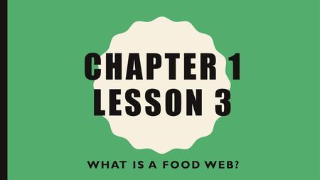 Chapter 1 Lesson 3 What is a food web?.