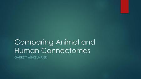 Comparing Animal and Human Connectomes