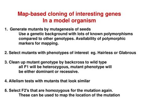 Map-based cloning of interesting genes