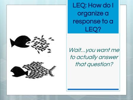 LEQ: How do I organize a response to a LEQ?