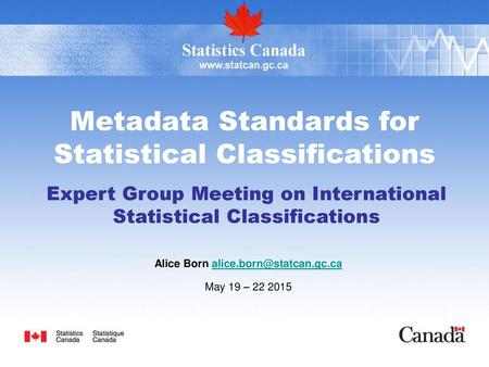 Metadata Standards for Statistical Classifications