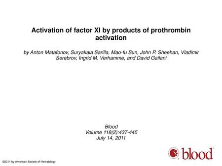 Activation of factor XI by products of prothrombin activation