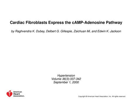 Cardiac Fibroblasts Express the cAMP-Adenosine Pathway