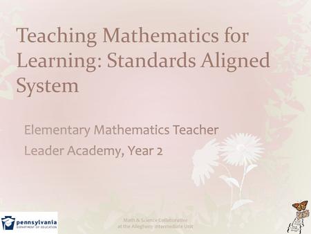 Teaching Mathematics for Learning: Standards Aligned System