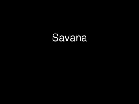 Savana.