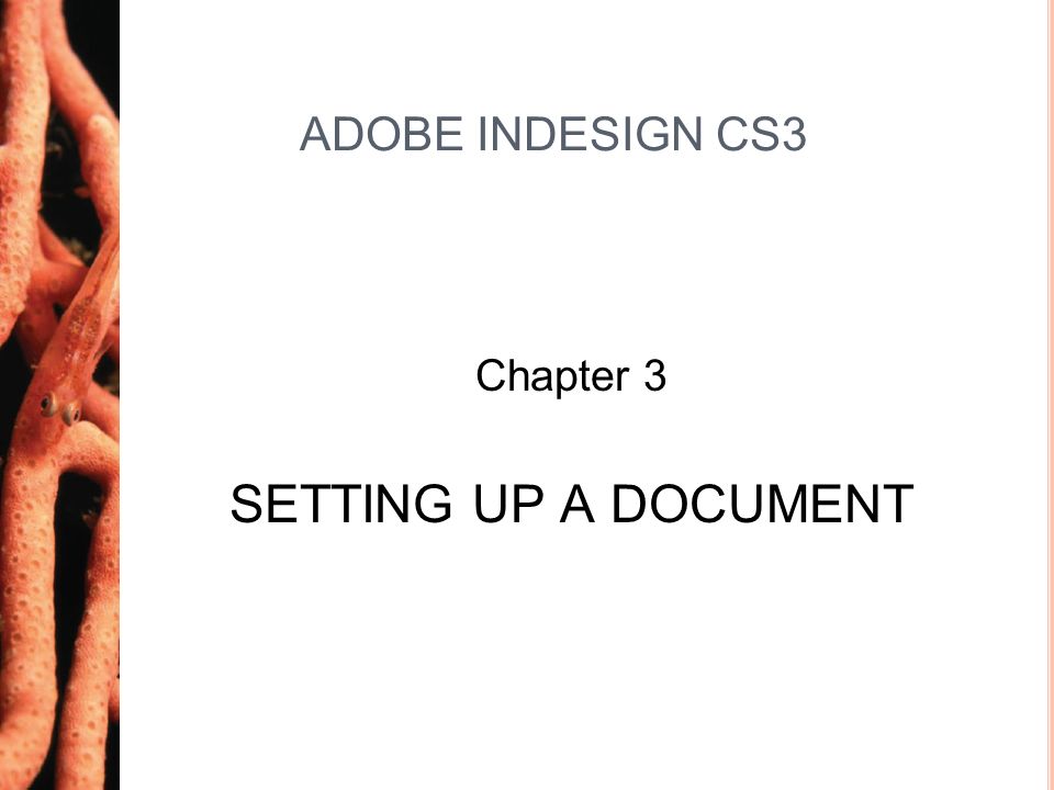 adobe indesign cs3 book