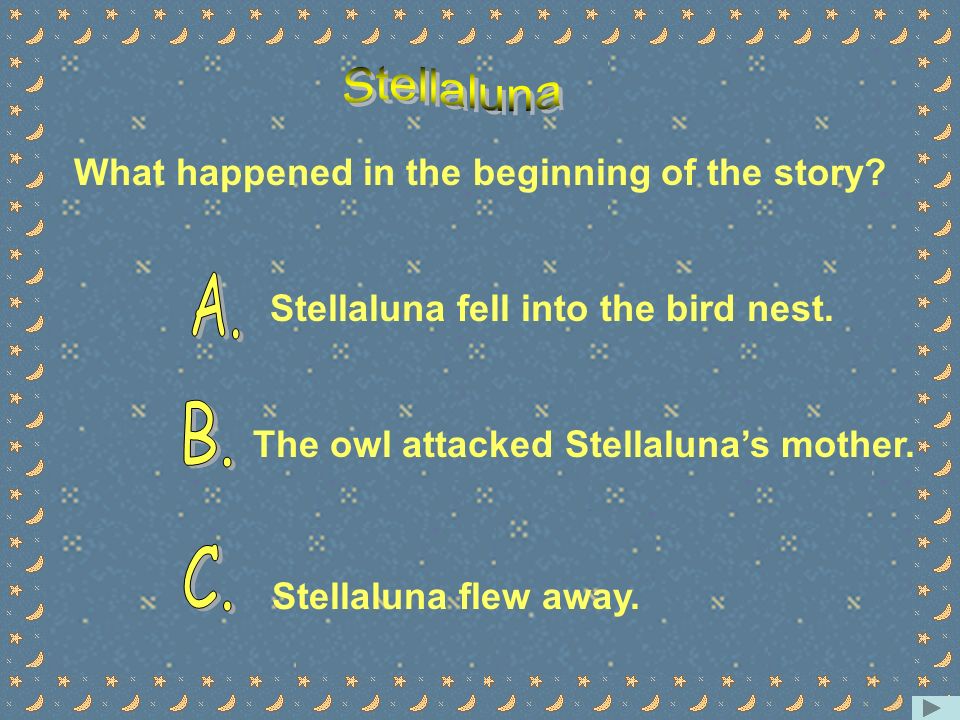 Voc. stellaluna eng. meaning