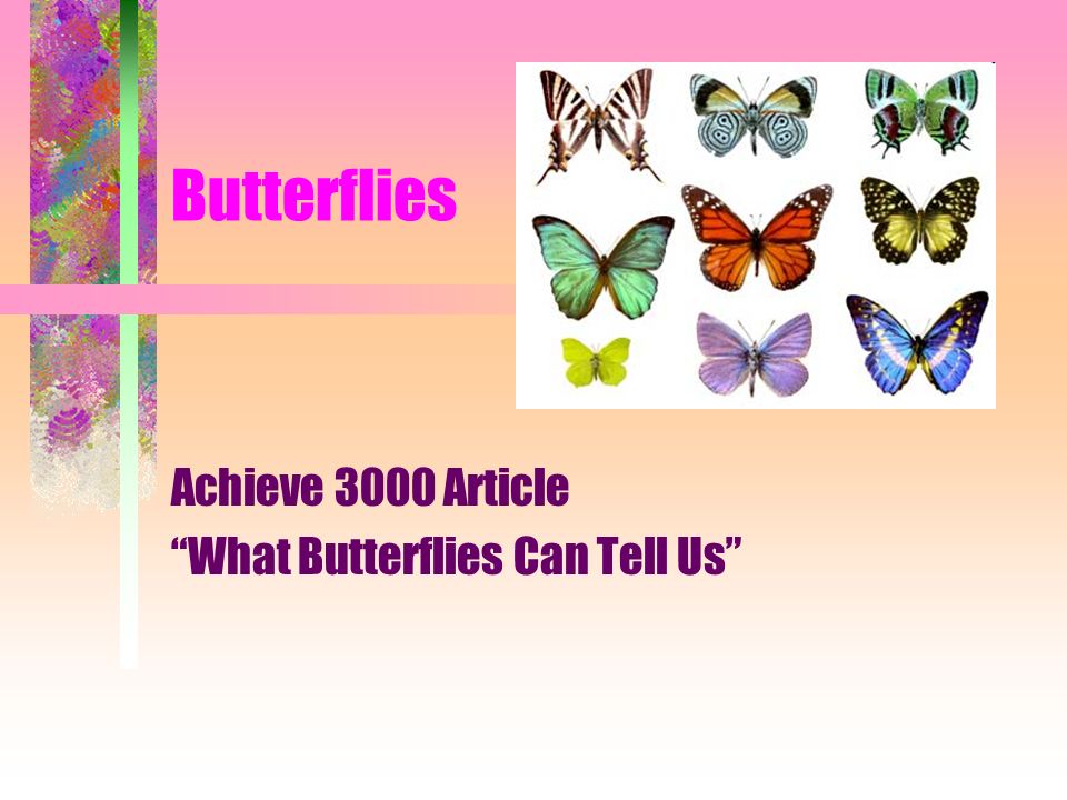 Butterfly Clicking Test - Test Your Click Speed by Lorinda Amy - Infogram