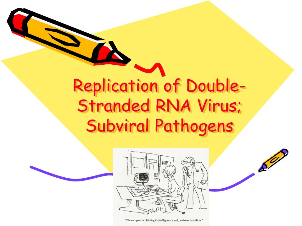 Replication Of Double Stranded Rna Virus Subviral Pathogens Ppt Download Replication Of Double Stranded Rna Virus Subviral Pathogens Ppt Download