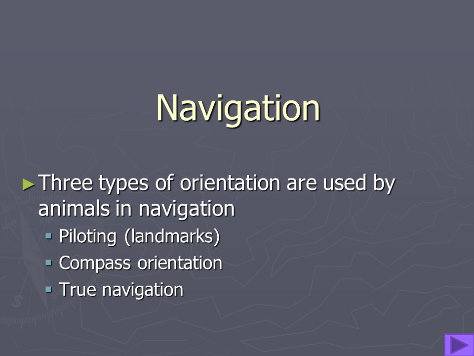Navigation ▻T▻T▻T▻Three types of orientation are used by animals in  navigation PPPPiloting (landmarks) CCCCompass orientation  TTTTrue navigation. - ppt download
