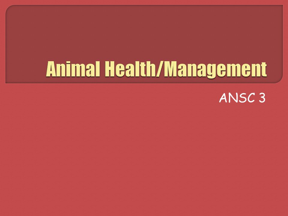 Animal Health/Management - ppt download