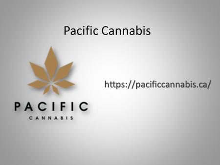 Pacific Cannabis   Bulk Flowers Canada - pacificcannabis.ca We will make sure to deliver fresh and crisp flowers of your choice.