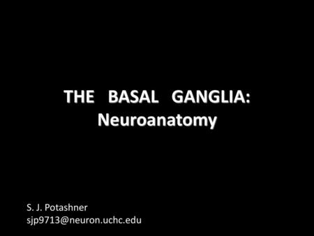 THE BASAL GANGLIA: Neuroanatomy