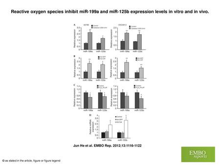 Reactive oxygen species inhibit miR‐199a and miR‐125b expression levels in vitro and in vivo. Reactive oxygen species inhibit miR‐199a and miR‐125b expression.