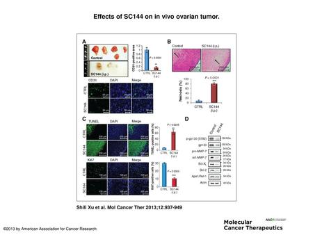 Effects of SC144 on in vivo ovarian tumor.