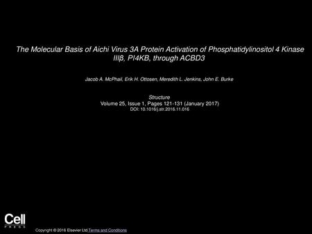 The Molecular Basis of Aichi Virus 3A Protein Activation of Phosphatidylinositol 4 Kinase IIIβ, PI4KB, through ACBD3  Jacob A. McPhail, Erik H. Ottosen,