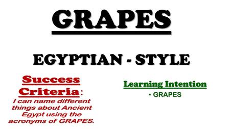 GRAPES EGYPTIAN - STYLE