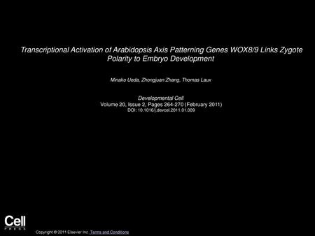 Transcriptional Activation of Arabidopsis Axis Patterning Genes WOX8/9 Links Zygote Polarity to Embryo Development  Minako Ueda, Zhongjuan Zhang, Thomas.