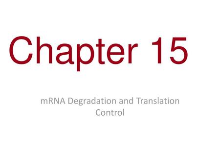 mRNA Degradation and Translation Control