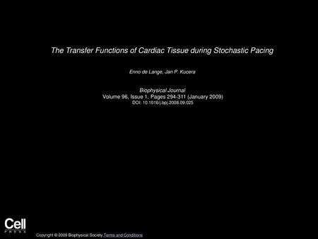 The Transfer Functions of Cardiac Tissue during Stochastic Pacing