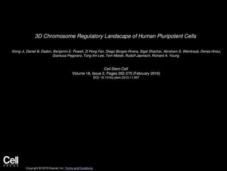 3D Chromosome Regulatory Landscape of Human Pluripotent Cells