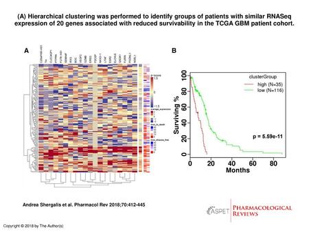 (A) Hierarchical clustering was performed to identify groups of patients with similar RNASeq expression of 20 genes associated with reduced survivability.