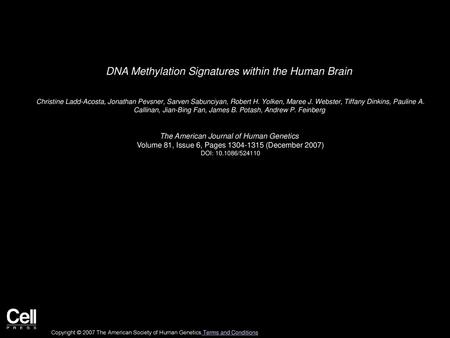 DNA Methylation Signatures within the Human Brain