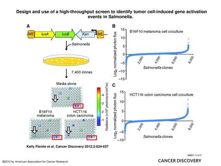  Design and use of a high-throughput screen to identify tumor cell-induced gene activation events in Salmonella.  Design and use of a high-throughput screen.