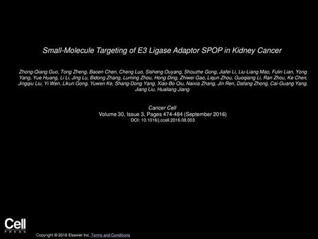 Small-Molecule Targeting of E3 Ligase Adaptor SPOP in Kidney Cancer