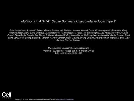 Mutations in ATP1A1 Cause Dominant Charcot-Marie-Tooth Type 2