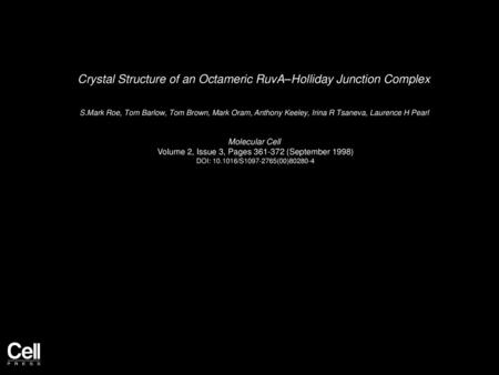Crystal Structure of an Octameric RuvA–Holliday Junction Complex