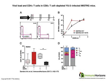 Viral load and CD4+ T cells in CD8+ T cell–depleted YU-2–infected MISTRG mice. Viral load and CD4+ T cells in CD8+ T cell–depleted YU-2–infected MISTRG.