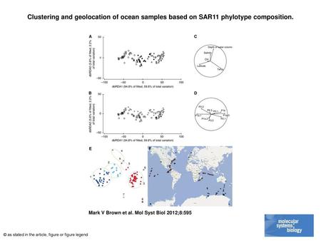 Clustering and geolocation of ocean samples based on SAR11 phylotype composition. Clustering and geolocation of ocean samples based on SAR11 phylotype.