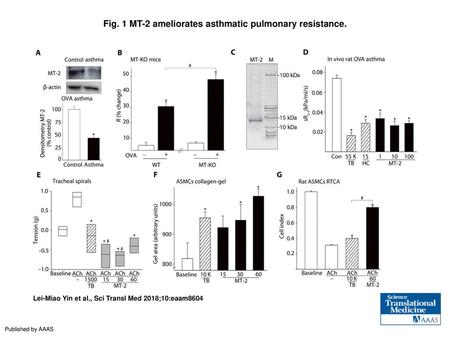 Fig. 1 MT-2 ameliorates asthmatic pulmonary resistance.