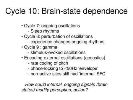 Cycle 10: Brain-state dependence