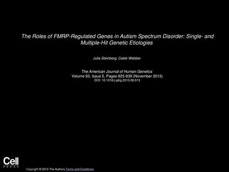 The Roles of FMRP-Regulated Genes in Autism Spectrum Disorder: Single- and Multiple-Hit Genetic Etiologies  Julia Steinberg, Caleb Webber  The American.