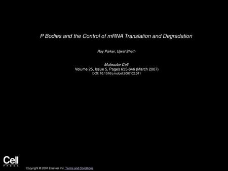 P Bodies and the Control of mRNA Translation and Degradation