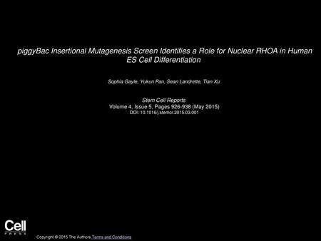 PiggyBac Insertional Mutagenesis Screen Identifies a Role for Nuclear RHOA in Human ES Cell Differentiation  Sophia Gayle, Yukun Pan, Sean Landrette,